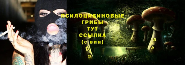 гашик Иннополис