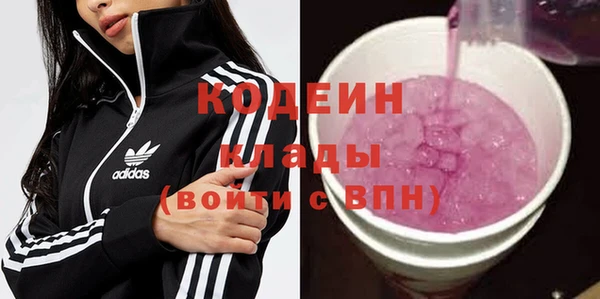 гашик Иннополис