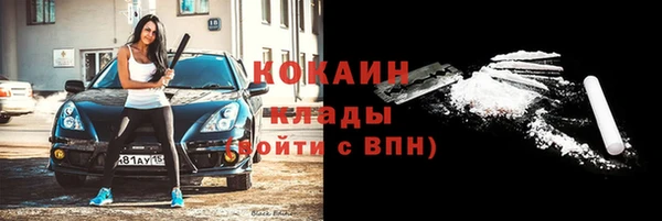 хмурый Инта