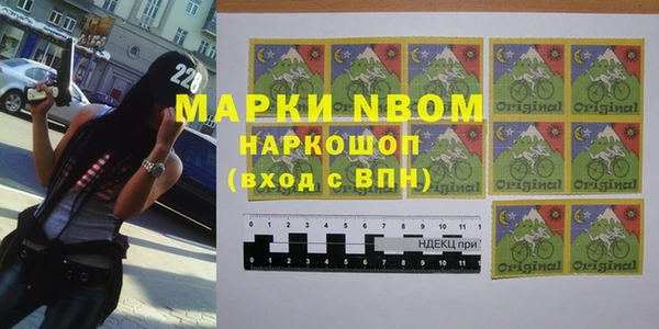 хмурый Инта