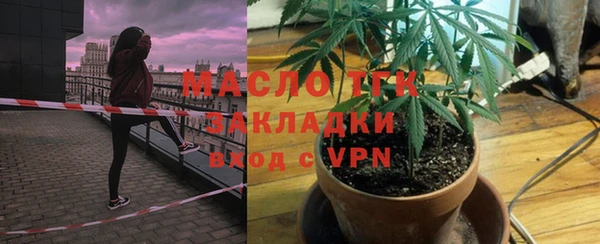 хмурый Инта
